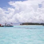Zanzibar: Mnemba Island Dolphin Watching and Sunset Cruise - Practical Details & What to Expect