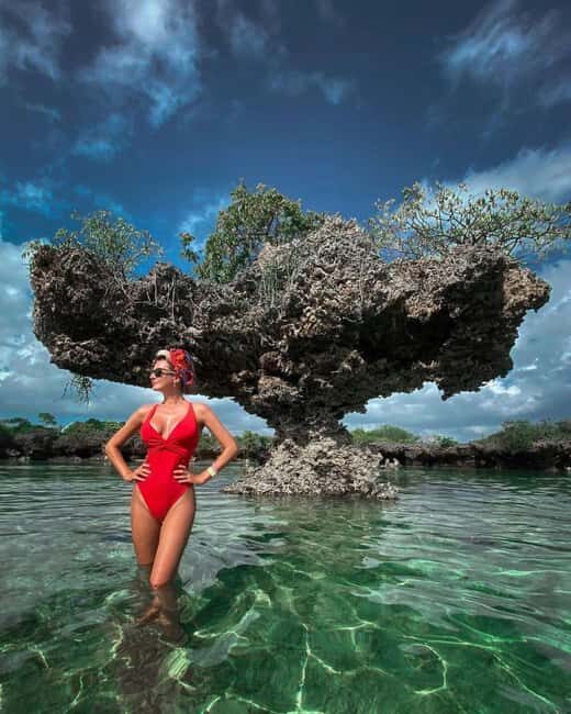 Zanzibar: Mnemba island for snorkeling from Nungwi Beach - Key Points