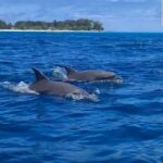 Zanzibar: Mnemba Island, Jozani Forest, and Salaam Cave Tour - Salaam Cave and Sea Turtle Conservation