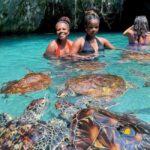 ZANZIBAR: Mnemba Island, Jozani Forest & Sea Turtles tours - Who Will Appreciate This Tour?