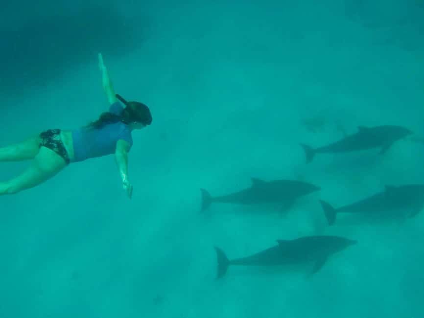Zanzibar: Mnemba Island, Jozani forest & The Rock restaurant - Who Is This Tour Best For?