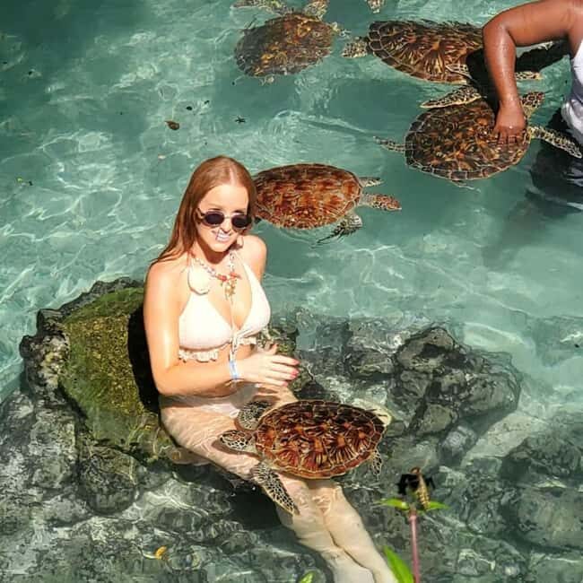 Zanzibar: Mnemba Island, Jozani Forest & Turtle Tour - Who is This Tour Best Suited For?
