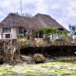 Zanzibar: Mnemba Island, Prison Island and Salaam Cave Tour - Final Thoughts