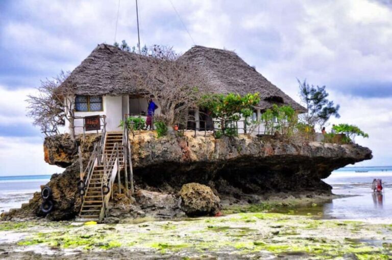 Zanzibar: Mnemba Island, Prison Island and Salaam Cave Tour - Final Thoughts