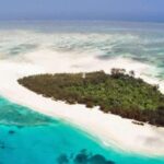 Zanzibar: Mnemba Island Private tour - What Travelers Say: Authentic Insights from Reviews