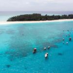 Zanzibar: Mnemba Island Snorkeling and Dolphin Adventure - Snorkeling at Mnemba: What You’ll See and Feel