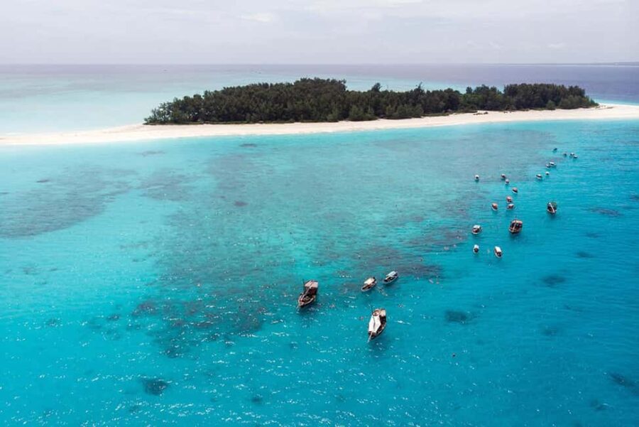 Zanzibar: Mnemba Island Snorkeling and Dolphin Adventure - Snorkeling at Mnemba: What You’ll See and Feel