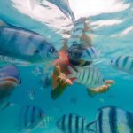 Zanzibar: Mnemba Island Snorkeling and Dolphin Tour - What’s Included and What’s Not