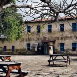 ZANZIBAR: Mnemba Island, Stone Town, & Prison Island Tour - What’s Included and What’s Not