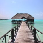 Zanzibar - Mnemba Island tour and Baraka aquarium - turtles - What to Expect from the Tour