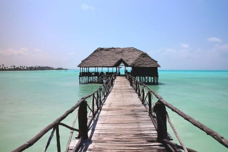 Zanzibar - Mnemba Island tour and Baraka aquarium - turtles - What to Expect from the Tour