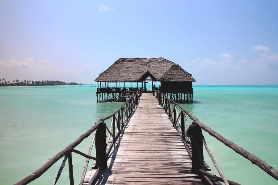 Zanzibar - Mnemba Island tour and Baraka aquarium - turtles - What to Expect from the Tour