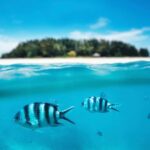 Zanzibar: mnemba island, turles swimming with kendwa beach - Who Will Enjoy This Tour?