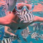 Zanzibar: Mnemba Snorkeling and Dolphin Tour with Dhow Boat - FAQs