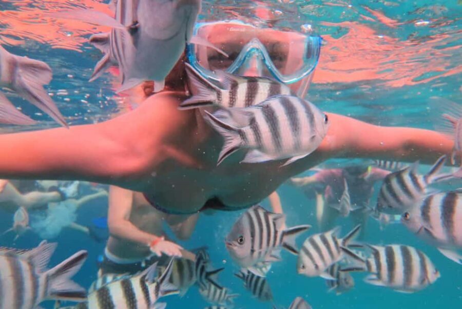 Zanzibar: Mnemba Snorkeling and Dolphin Tour with Dhow Boat - FAQs