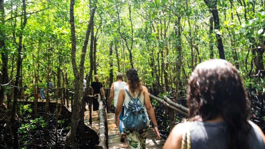Zanzibar: Mnemba snorkeling, dolphin & Jozani Forest tour - FAQ