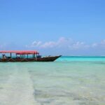 Zanzibar - Nakupenda beach full-day with lunch - What to Expect: The Full Experience Breakdown
