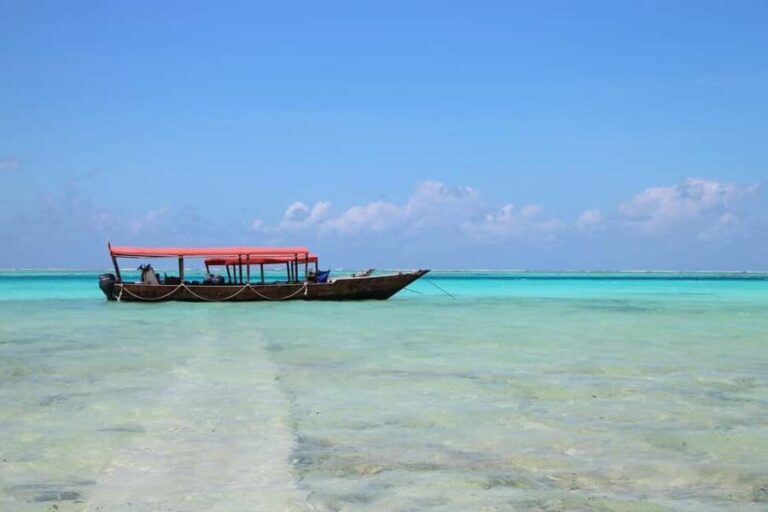 Zanzibar - Nakupenda beach full-day with lunch - What to Expect: The Full Experience Breakdown