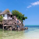 Zanzibar - Nakupenda Beach & Prison Island trip - Snorkeling and Relaxing at Nakupenda Sandbank