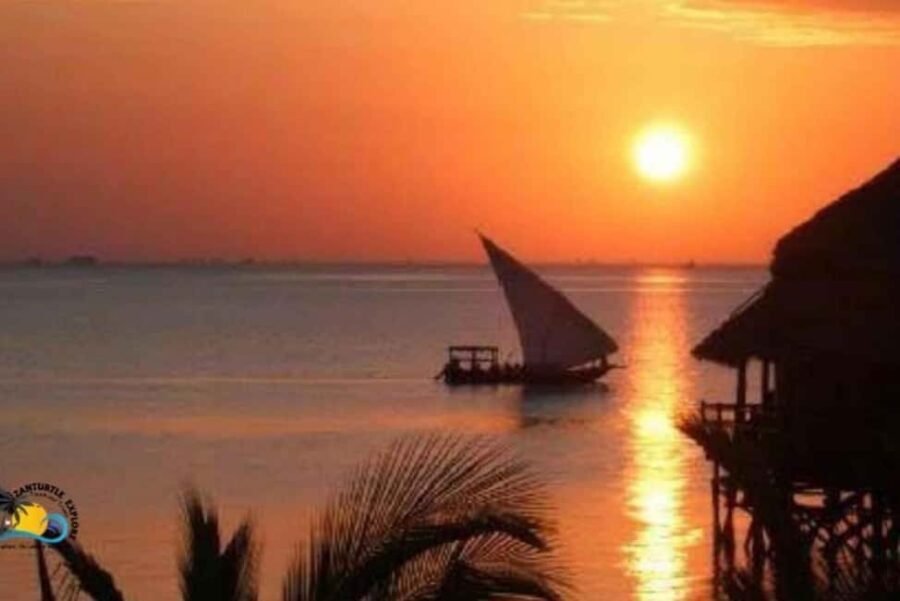 Zanzibar: Nungwi and Kendwa Sunset Dhow Cruise with Pickup - The Practical Side: What’s Included and What Not