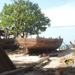 Zanzibar: Nungwi Cultural Village Tour & Swim with Turtles - Meeting the Fishermen and Visiting the Fish Market