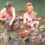 Zanzibar: Nungwi Kilosa Zoo & Swimming with Turtles - Who Will Love This Tour?