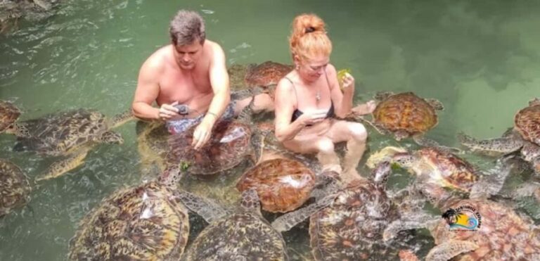 Zanzibar: Nungwi Kilosa Zoo & Swimming with Turtles - Who Will Love This Tour?