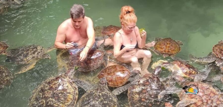 Zanzibar: Nungwi Kilosa Zoo & Swimming with Turtles - Who Will Love This Tour?