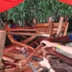 Zanzibar: Nungwi Village Tour and Culinary Class - Practical Details and Value