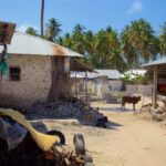 Zanzibar: Paje Village Tour - Exploring the Itinerary in Detail