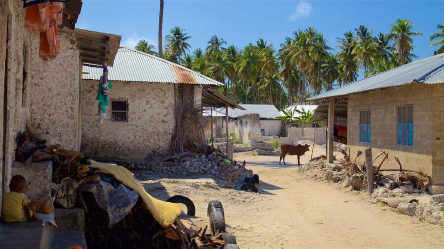Zanzibar: Paje Village Tour - Exploring the Itinerary in Detail
