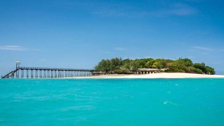 Zanzibar: prison island and stone town shopping tour & urojo - Walking Tour of Stone Town