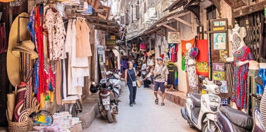 Zanzibar: Prison Island and Stone Town Tour Experience - What to Pack and Consider Before Going