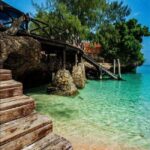 ZANZIBAR: Prison Island Boat Trip with Hotel Transfer option - Pricing and Value