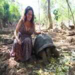 Zanzibar: Prison Island, Jozani Forest & Mtende beach tour - Who Is This Tour Best For?