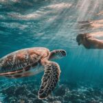 ZANZIBAR: Prison Island, Jozani Forest & SeaTurtle Sanctuary - Authentic Experiences and Traveler Insights