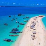 Zanzibar: Prison Island, Nakupenda and Stone Town Tour - Nakupenda Sandbank: Relaxation and Seafood Feast