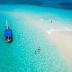 Zanzibar: Prison Island & Nakupenda Sandbank Shared Day Tour - What We Love About This Tour