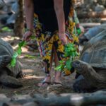 Zanzibar: Prison Island & Nakupenda Sandbank Tour with Lunch - Practical Insights