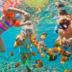 Zanzibar: Prison Island & Nakupenda Sandbank Tour With Lunch - The Value of the Experience