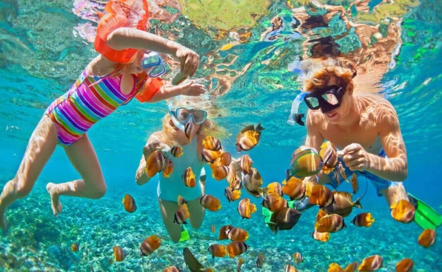 Zanzibar: Prison Island & Nakupenda Sandbank Tour With Lunch - The Value of the Experience