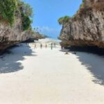 Zanzibar: Prison island, Sea Turtle Sanctuary + Mtende Beach - What Makes This Tour Stand Out?
