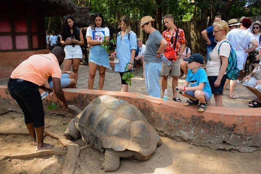 Zanzibar: Prison Island & Stone Town Guided Tour - What Makes This Tour Stand Out