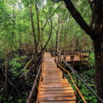 Zanzibar: Prison Island Tortoise Sanctuary & Jozani Forest - Practical Information and Experience Details