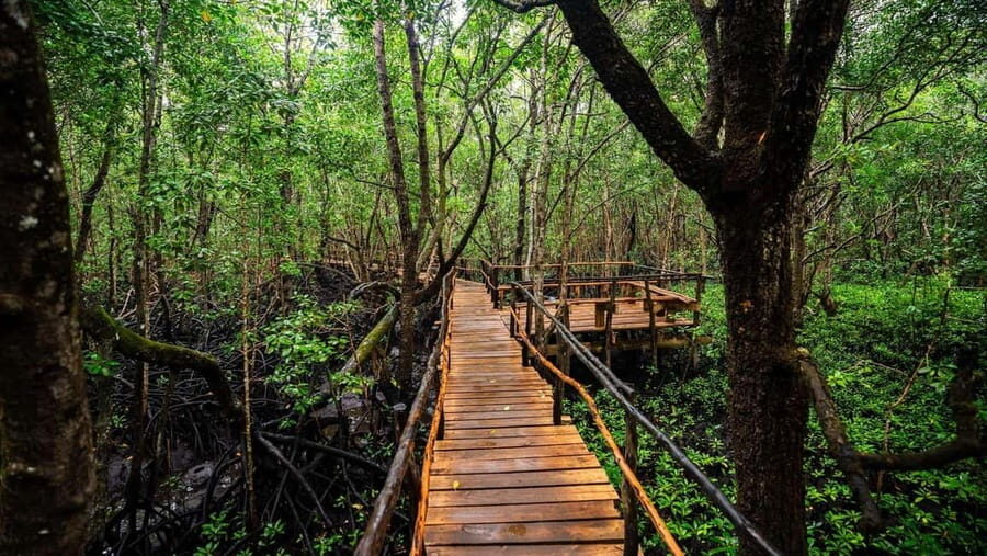 Zanzibar: Prison Island Tortoise Sanctuary & Jozani Forest - Practical Information and Experience Details