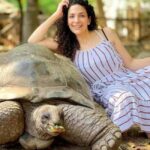 Zanzibar: Prison Island, Tortoises, and Sandbank Tour - Who Would Enjoy This Tour?