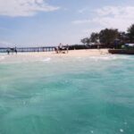Zanzibar: Prison Island Tour with Swimming and Beach Time - Analyzing the Value of the Tour