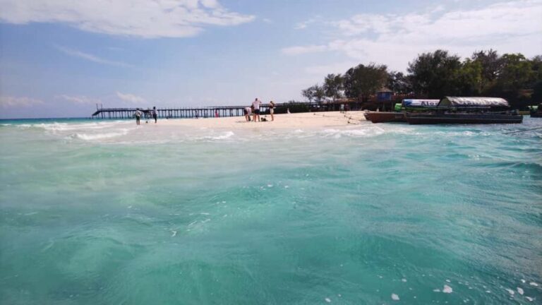 Zanzibar: Prison Island Tour with Swimming and Beach Time - Analyzing the Value of the Tour