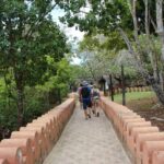Zanzibar: Prison island- Turtoise & spice farm - Why This Tour Is Worth Considering