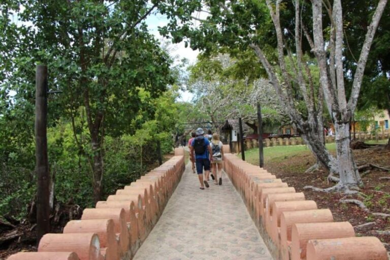Zanzibar: Prison island- Turtoise & spice farm - Why This Tour Is Worth Considering